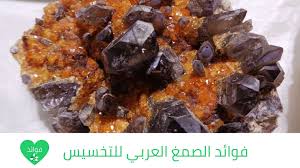 فوائد الصمغ العربي للتخسيس أفضل حارق للدهون في العصر الحديث Food Desserts Breakfast