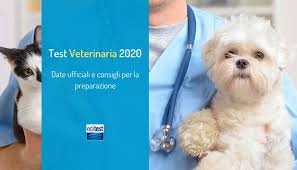 Test Veterinaria 2020 Ecco Il Decreto Ufficiale Del Miur