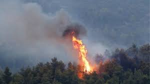 Οι φλόγες καίνε δασική έκταση ωστόσο. Samos Ypo Meriko Elegxo H Fwtia Sto 3epagiasmeno Ampeloy