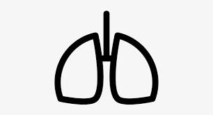 Human Lungs Outline Vector Contorno De Pulmones 400x400 Png Download Pngkit Please to search on seekpng.com. human lungs outline vector contorno