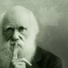 Anthony Warrington Pianist