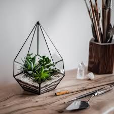 Teardrop Geometric Terrarium Glass Succulent Planter Hq Etsy In 2020 Geometric Terrarium Vintage Copper Light Terrarium