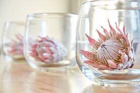 Proteas In Glass Vases Protea Wedding Flower Decorations Protea Flower