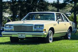 Image result for Beige 1979 Buick