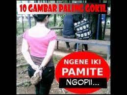 Pengguna bahasa ini banyak tersebar di daerah jawa tengah dan jawa timur. Wow 25 Gambar Komentar Lucu Bahasa Jawa Koleksi Gambar Lucu Komentar Lucu Gambar Lucu Lucu