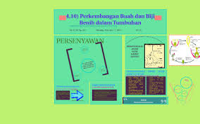 Benih harus bebas hama dan penyakit. 4 10 Perkembangan Buah Dan Biji Benih Dalam Tumbuhan By Nur Hani