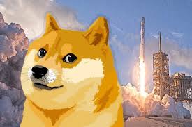Best cryptocurrency trading platforms 2021. Dogecoin Cryptocurrency Frenzy Got So Wild That It Crashed Robinhood S Trading System