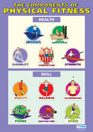 There are five components to total fitness and doing exercise for physical fitness components for each will result in optimal health. Store Front Product Mentone Educational Elementary Physical Education Physical Education Physical Education Lessons