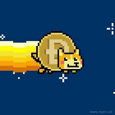 The best gifs for dogecoin. Top 30 Dogecoin Gifs Find The Best Gif On Gfycat