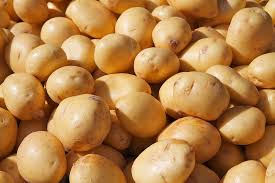 Since it takes potatoes two to three weeks to emerge from the ground, the earliest you should plant seed potatoes is two weeks before your last anticipated freeze date of 28 degrees. How To Plant Grow And Harvest Potatoes