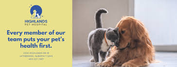 Our convenient pet hospitals are located in select petsmart stores. Highlands Pet Hospital Home Facebook