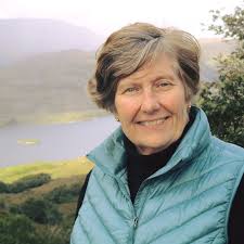 How to contact Dreams Flora Resort & Spa Punta Cana for requests?