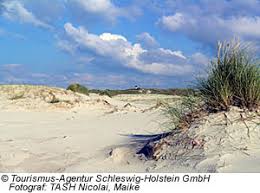 Maybe you would like to learn more about one of these? Insel Amrum Ferienhaus Oder Ferienwohnung Mit Hund Buchen