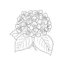 Simple Hydrangea Print For Simple And Easy Wall Art Etsy Hydrangea Print Simple Wall Art Hydrangea Tattoo