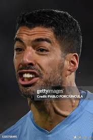 2.858 fotos e imágenes de alta resolución de Pablo Suarez