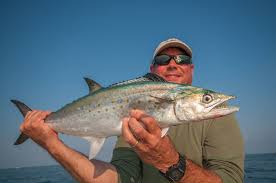 Fishing methods include trolling or drifting either deep or on the surface using strip baits, lures, or small whole baits as well as casting and live bait fishing. Spanish Mackerel Popular Fish And Great Eating Coast Obx