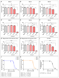 Maybe you would like to learn more about one of these? Cells Free Full Text Novel Primary Human Cancer Stem Like Cell Populations From Non Small Cell Lung Cancer Inhibition Of Cell Survival By Targeting Nf Kb And Myc Signaling Html