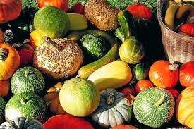 Fetes D Automne En Bretagne Bretagne Com
