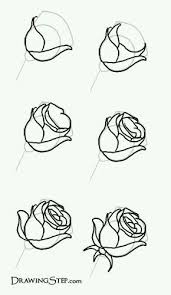 Then draw the leaves which should be a bunch of three pointed leaves on either side of the flower. Drawing Ideas Flowers Artists 32 Ideas For 2019