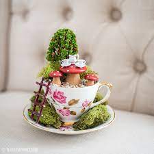 Teacup mini gardens ideas to create your own mini fairy terrarium gardens with these miniature terrarium gardens, small water gardens, or combine the both. Make A Fairy Garden In A Thrifted Teacup The Diy Mommy