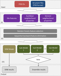 Flow Chart Of The Predhs Web Server Input To The Predhs