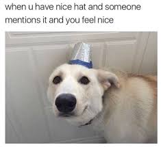 100 Dog Memes That Will Keep You Laughing For Hours The meme typically consists of a picture of a shiba inu dog accompanied by multicolored text in comic sans font in the foreground.