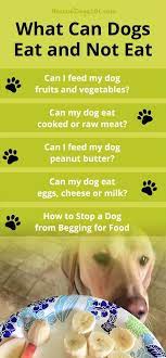 What Can Dogs Eat And Not Eat Can Dogs Eat Dog Eating Dog Care Tips