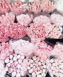 Flower bouquet diy hand bouquet how to wrap bouquet rosen box flower box gift flower arrangements simple how to wrap flowers luxury florists. Princess Diana Pink Flowers Pretty Flowers Flowers