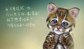 畫畫 守護瀕臨絕種的石虎leopard cat cat illustration leopard cat cats