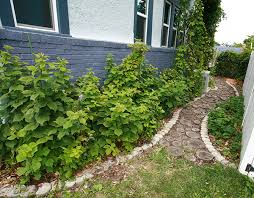 Log stairs on a slope garden. Diy Wood Slice Path Celebration Generation