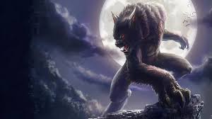 Image result for cal grady demonata