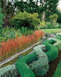 Knot Garden Of Germander Santolina Santolina Evergreen With Small Button Like Flowers Comes Is Emerald And Sag Garden Hedges Outdoor Gardens Unique Gardens