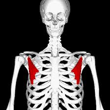 تصویر مرتبط