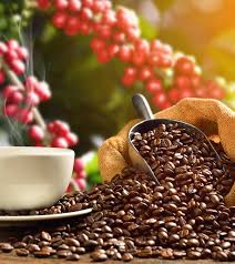 Caffeine is xanthine alkaloid that occurs naturally in seeds, leaves and fruit of several plants and trees that caffeine is a major component of coffee, tea and chocolate and in humans acts as a central. 20 Amazing Benefits Of Caffeine For Skin Hair And Health