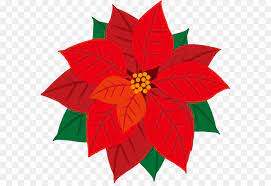 Conoce la leyenda de esa bellísima flor roja, que tanto alegran los hogares. Dibujo Flor De Pascuas Fondo De Navidad De Dibujos Animados Planta Poinsettia Navidad Flor De Pascua Antecedentes Imagen De Fondo Para Descarga Gratuita Cuando Vayas A Comprar Una Flor De