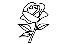 After learning the basics of drawing a single rose, be sure to add to your knowledge with drawing a rose in colored pencil (including the leaves and stems!) and drawing a rose in graphite. Simple Rose Drawing With Stem Novocom Top