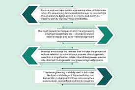 Enzyme Engineering And Its Application | Infinita Biotech