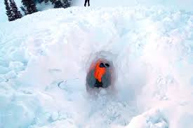 Learn about avalanche join the team. Global Avalanche Airbags Market 2020 Industry Status And Outlook Competitive Landscape And Growth By 2025 The Bisouv Network