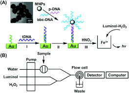 Superparamagnetic Nanoarchitectures For Disease Specific