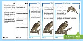 In the course of us military service the acronym bravo foxtrot has been used in place of the words buddy f**ker when referencing an individual or individuals who attract unwanted attention to themselves or the. Falcon Differentiated Reading Comprehension Activity Science Living World