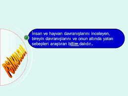 Menemen Halk Egitim Merkezi Ppt Indir