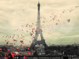Image result for pictures of paris tumblr