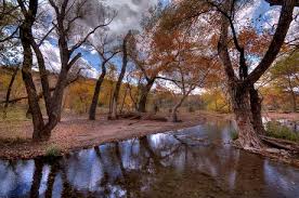 Image result for crisp November day