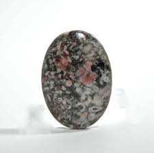 Pin On Fossils