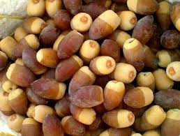 تمر خستاوي Fruit And Veg Middle East Food Arabic Food