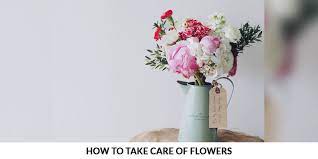 We did not find results for: How To Take Care Of Flowers Floweraura