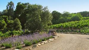 We did not find results for: Fantastic Driveway Designs For Curb Appeal Sunset Magazine