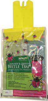 Check spelling or type a new query. Sterling Intrntl Rescue Japanese Oriental Beetle Trap Case Of 12 Walmart Canada