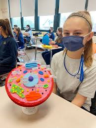 Maybe you would like to learn more about one of these? 7th Grade Cell Project St James School Manchester Ct