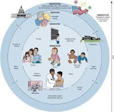 Lifeinstructionmanual Bronfenbrenner S Bioecological Model Gestion Del Conocimiento Desarrollo Humano Educacion